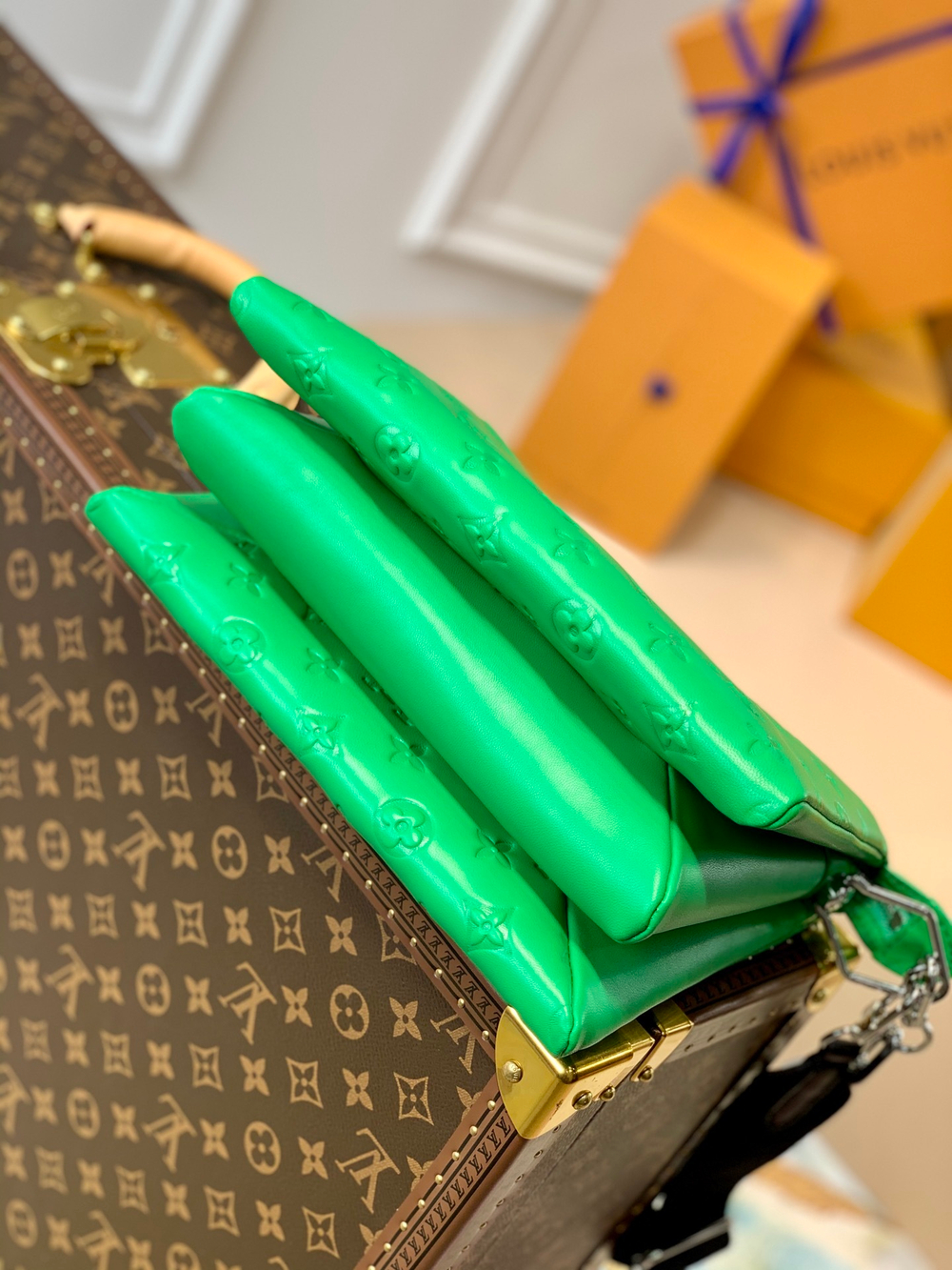 Louis Vuitton Coussin PM