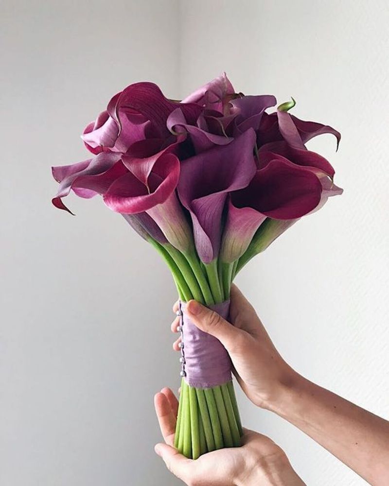 Калла