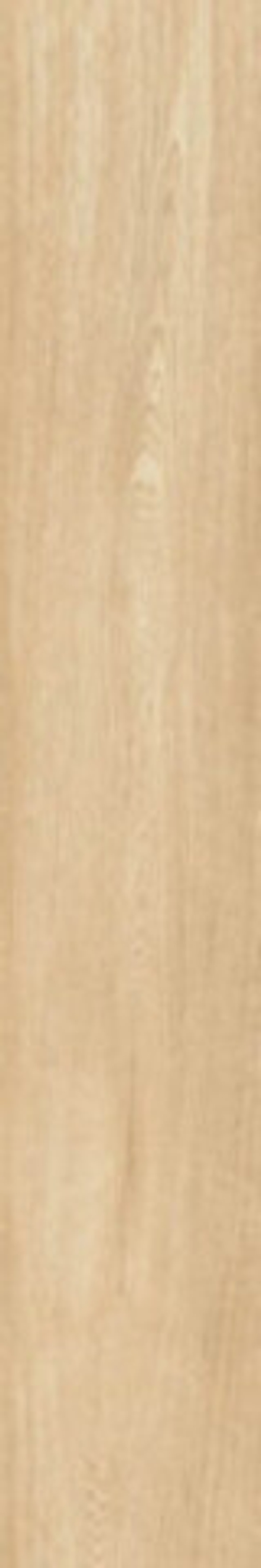 Керамогранит Wood Parma Beige MATE