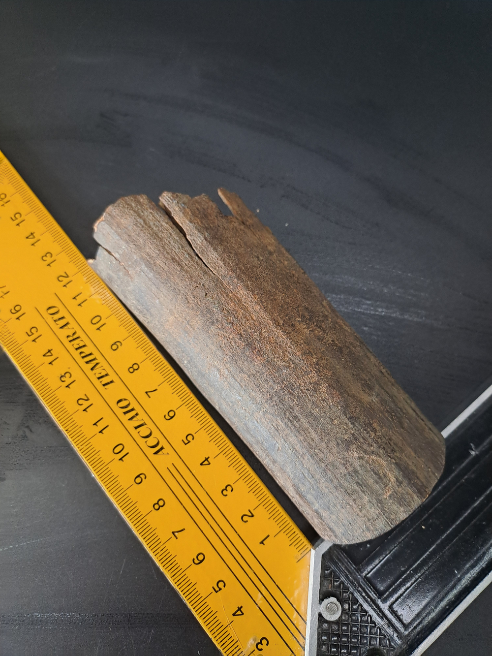 Бивень мамонта для коллекции