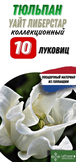 Тюльпан Луковица, Уайт Либерстар, 10шт