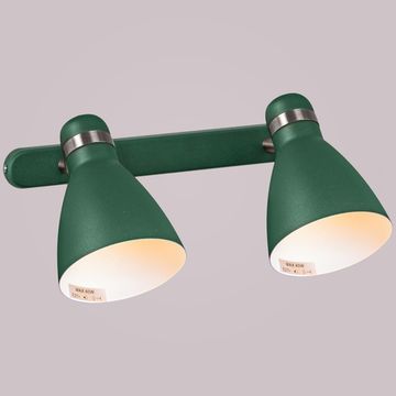 05060-0.8-02C GN светильник спотовый