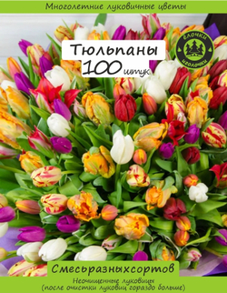 Тюльпан Луковицы неочищенные, Микс сортов, 100шт+