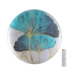 Настенно-потолочный светодиодный светильник Sonex FLOREN 7747/EL