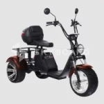 Электроскутер CityCoco SKYBOARD BR70-2WD Синий