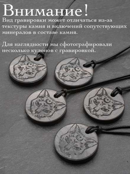 Шунгит натуральный камень Тотем кошка круглый кулон оберег талисман Карелия