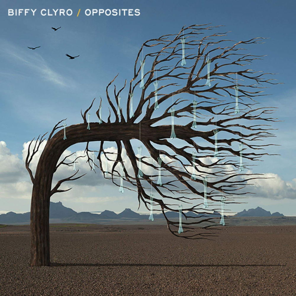 Biffy Clyro / Opposites (2LP)
