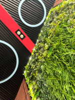 Вертикальное озеленение искусственными растениями автосалона «100 машин»