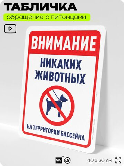 Табличка "Внимание, никаких животных на территории бассейна" на дверь и забор, для двора, дома, подъезда, 40х30 см, Silver Plane x Айдентика Технолоджи