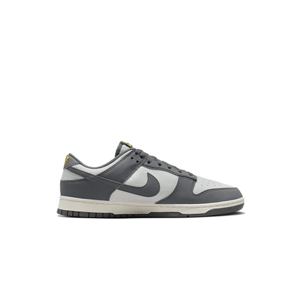 Nike Dunk Low Next Nature "Iron Grey"