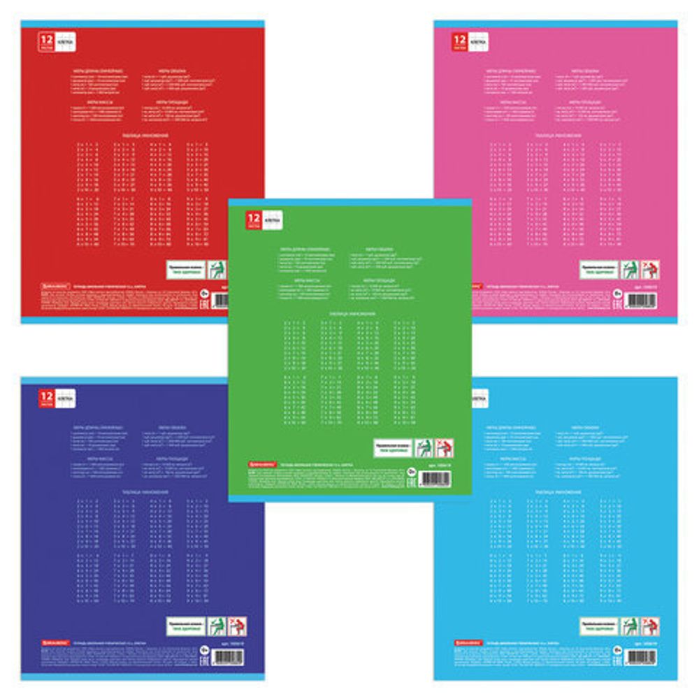 Тетрадь 12 л. BRAUBERG клетка, обложка картон, "УДИВИТЕЛЬНЫЕ ПТИЦЫ", 105619