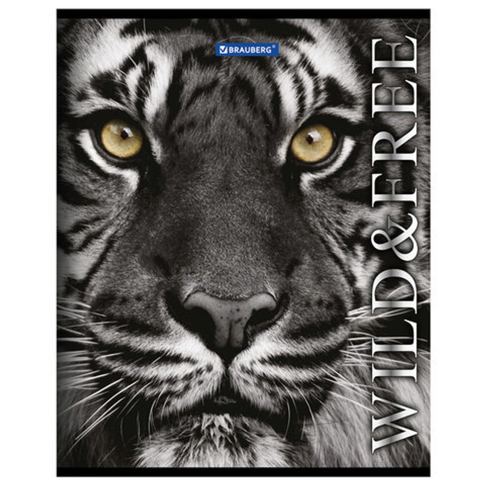 Тетрадь А5, 48 л., BRAUBERG ЭКО, клетка, обложка картон, ДИКИЕ И СВОБОДНЫЕ, 401810, 5шт