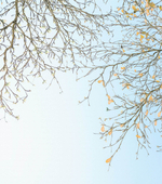 Обои с узором из линий 19501