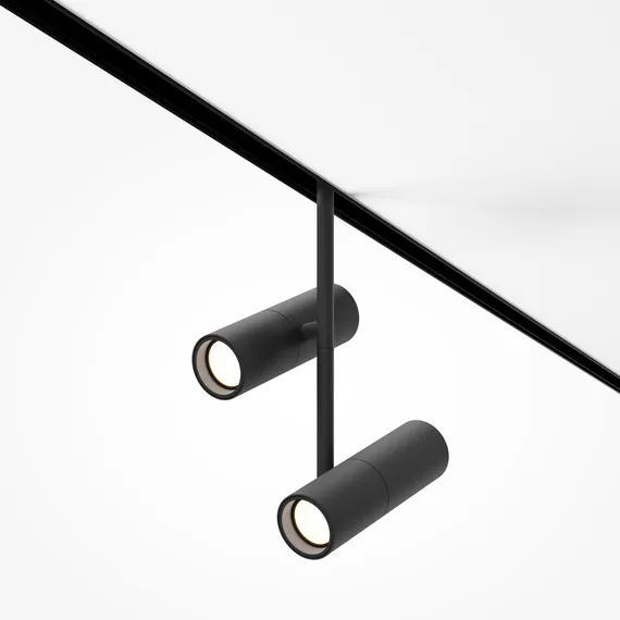 Трековый светильник Элти дуэт / Elti Duo Exility 3000K 24Вт 36° Technical tr005-2-2x12w3k-b