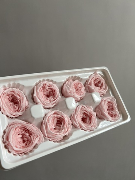 Роза пиновидная светло-розовая d=4-5 см (упак 8 шт)