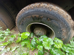 Shacman (Shaanxi) SX* 8x4 Самосвал SX33186W366C (Дизельный, 10,8 л, 441 л.с., МТ)