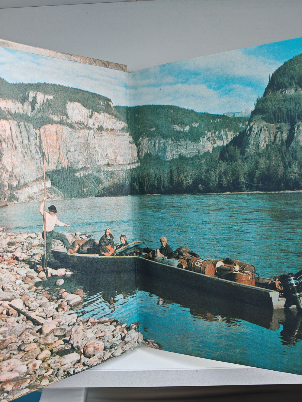 От кобры до медведя гризли