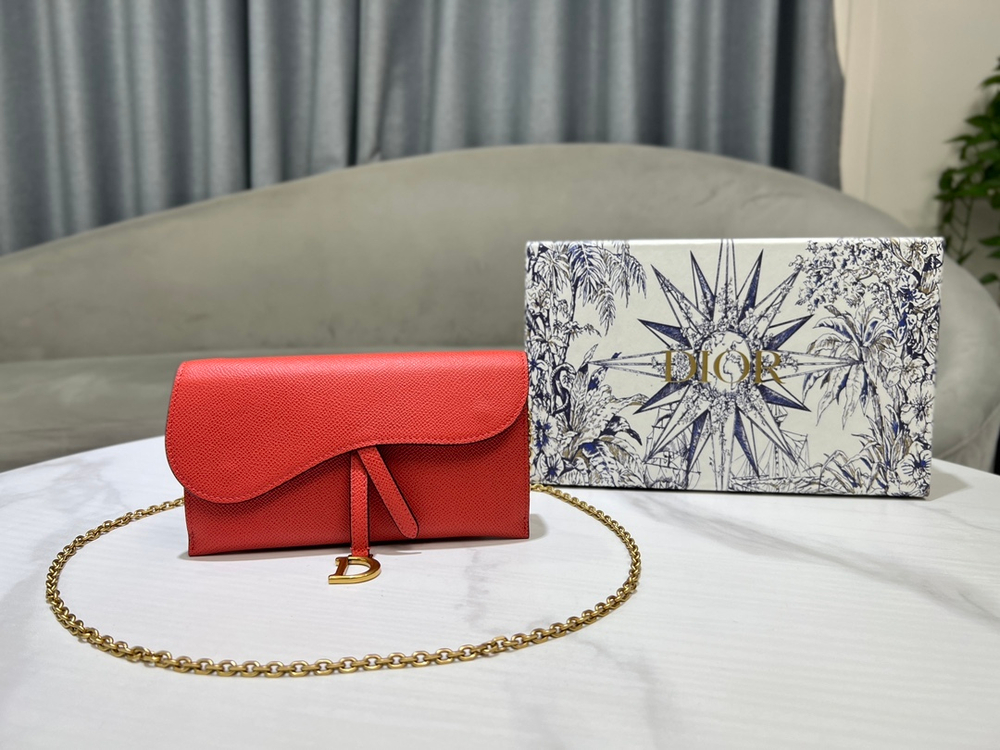 Christian Dior Long Saddle Wallet with Chain
