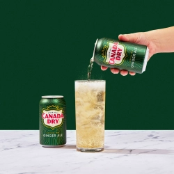 Газированный напиток Canada Dry Ginger Ale Имбирный Эль 355 мл * 12 шт