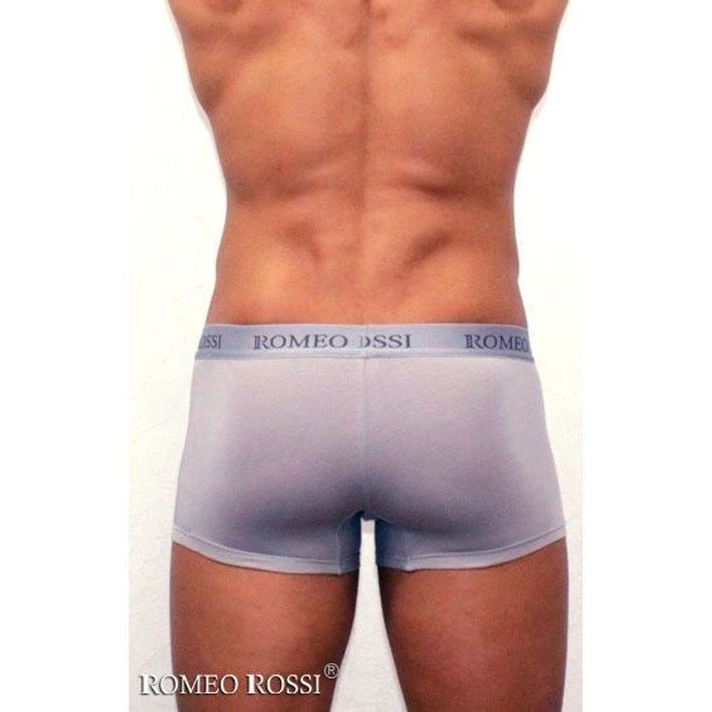 Мужские трусы боксеры c резинкой Romeo Rossi светло-серые RR6005-03