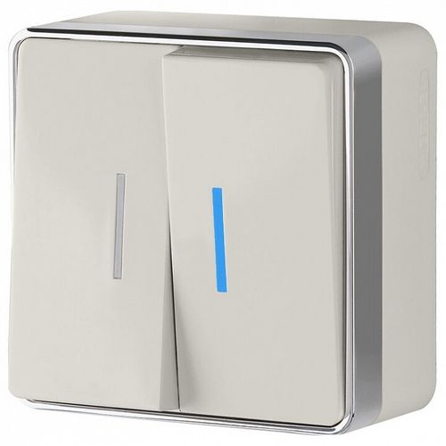 Выключатель двухклавишный Werkel W5020103