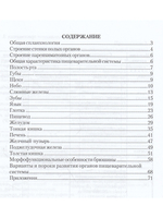Функциональная анатомия органов пищеварительной системы (строение, кровоснабжение, иннервация, лимфоотток) (учебное пособие) 6-е изд., перераб.