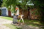 Пила сетевая WORX WG307E JawSaw