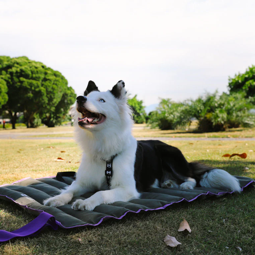 Лежак Air.Mat Zee.Dog