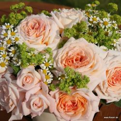 Гроссгерцогин Луиза (Grossherzogin Luise)