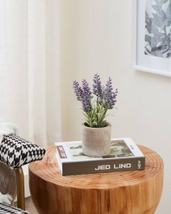 Растение в горшке Eglo Chitose 428031