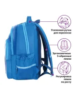 Рюкзак школьный, 2 отделения, эрго-спинка, "Championship"