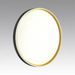 7619/DL PALE SN 160 Светильник пластик/черн./золот. LED 48Вт 3000-6300K D390 IP43 пульт ДУ SAVI