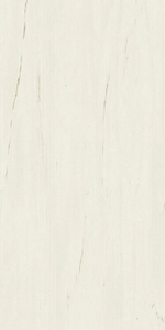 Atlas Concorde Marvel Stone Bianco Dolomite 60x120