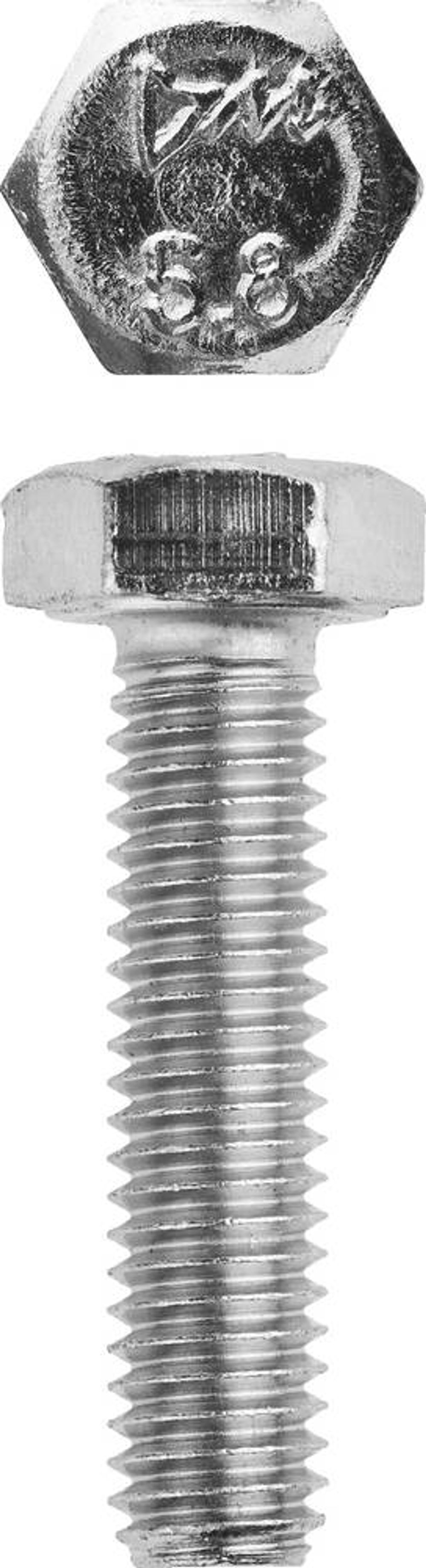 ЗУБР ГОСТ 7798-70, кл. пр. 5.8, M6 х 25 мм, цинк, 5 кг, болт (303080-06-025)