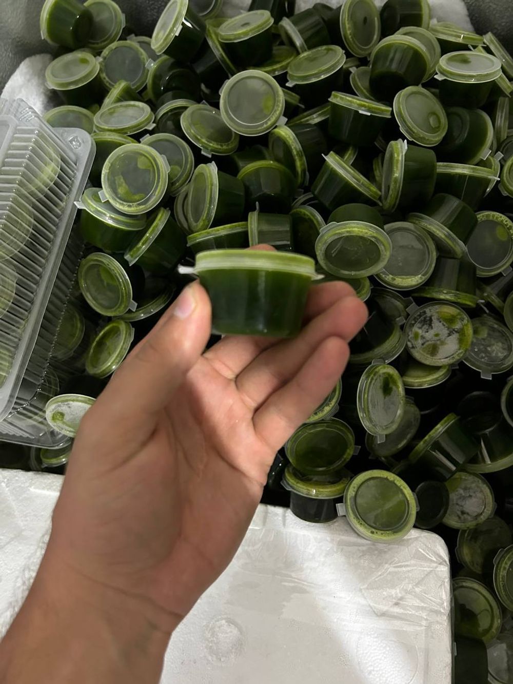 соусник для витграс на 30 мл