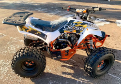 Квадроцикл SHARMAX Cross 190 (2024)