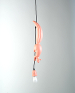 люстра Sherwood E Robin