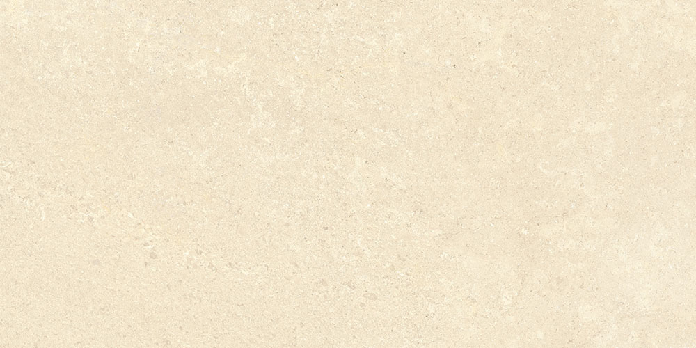 60х120 SandStone Песочный Матовый R10A Ректификат