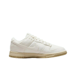 Кроссовки Nike Dunk Low The Future is Equal