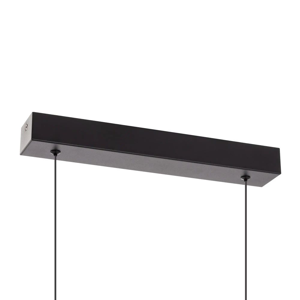 Citilux GLOB CL209131 LED Светильник подвесной Чёрный