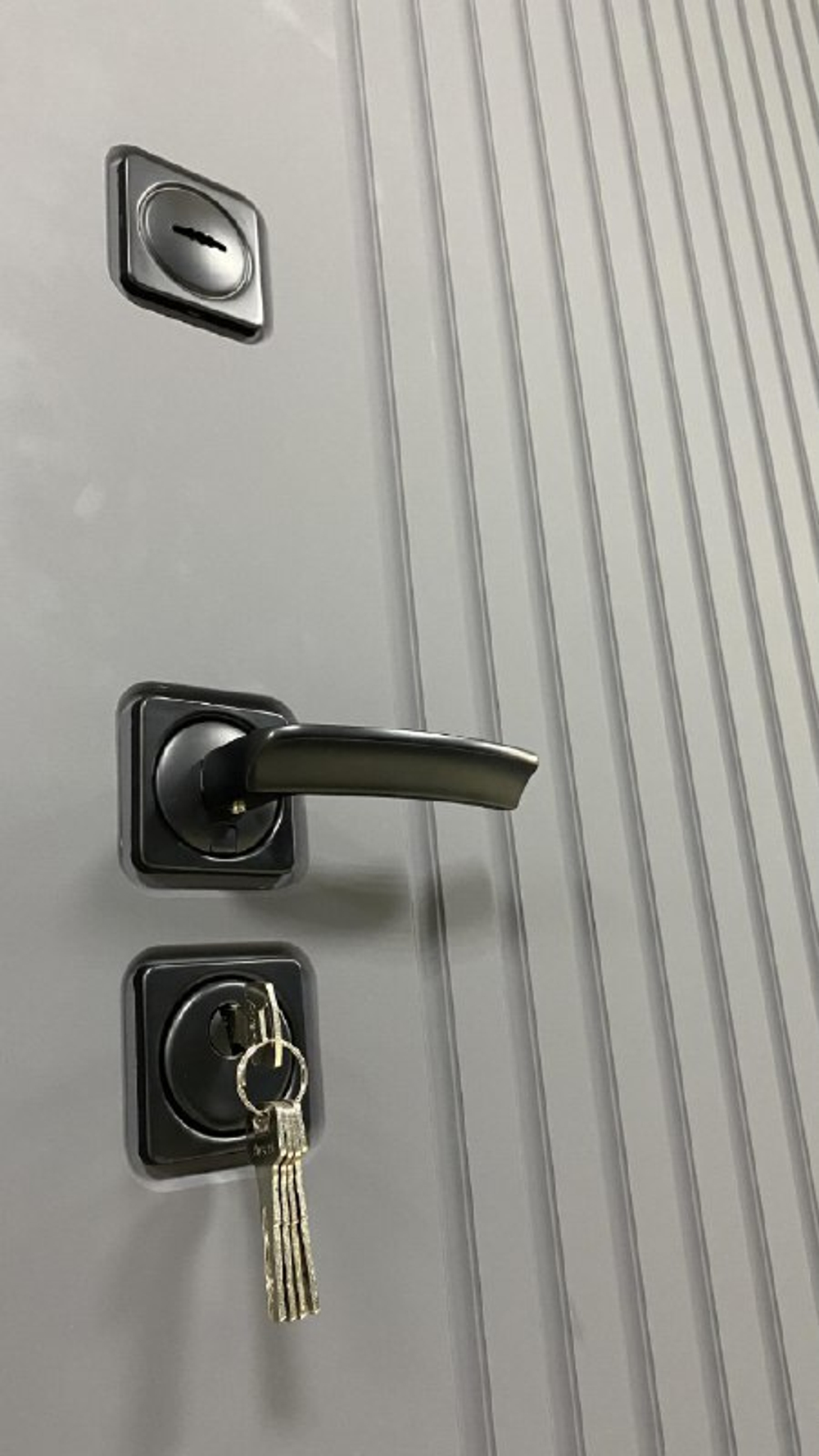 Дверь входная Брайтон