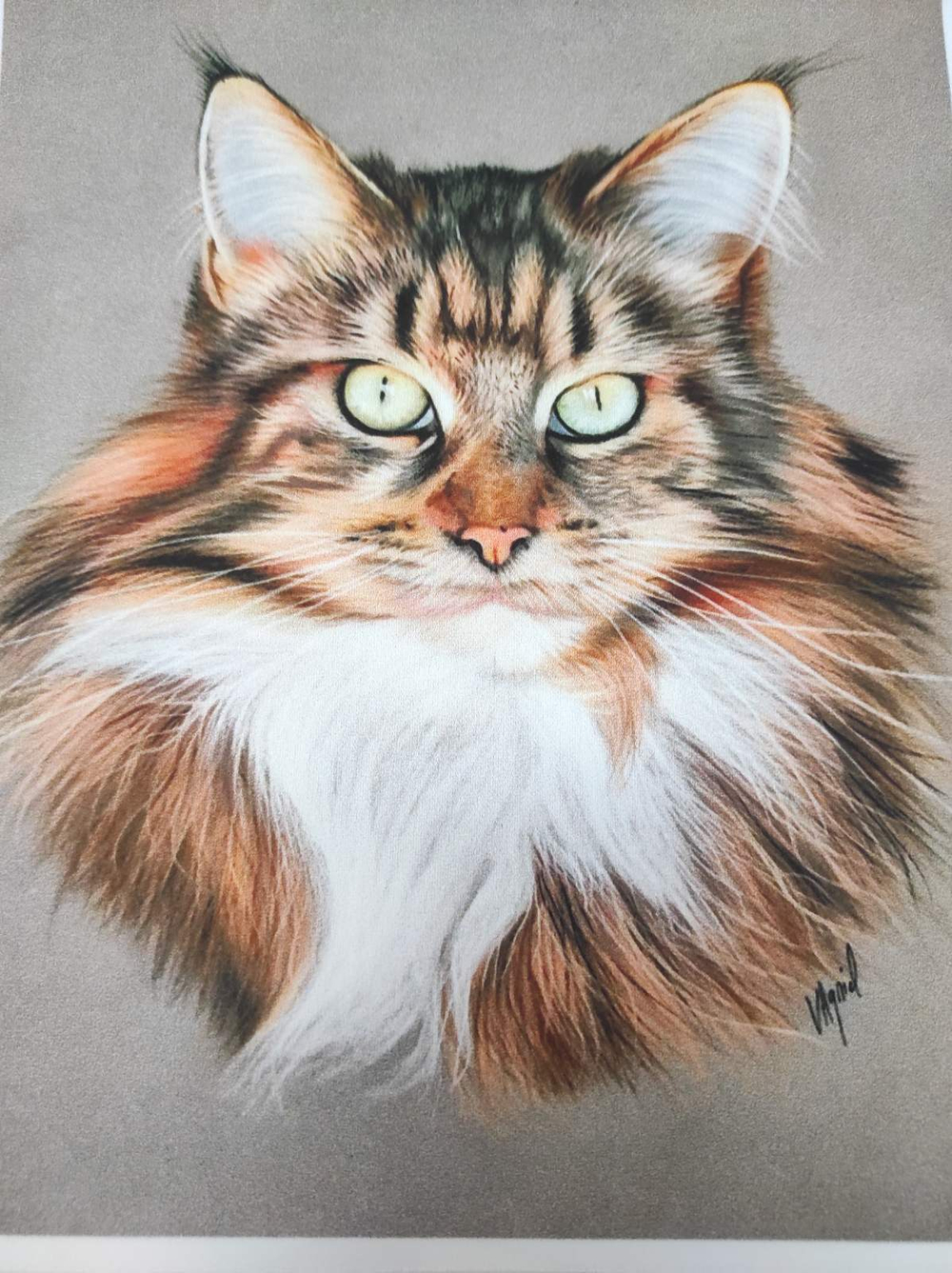 Панель (Армани-шелк дублир-й). Коты №2