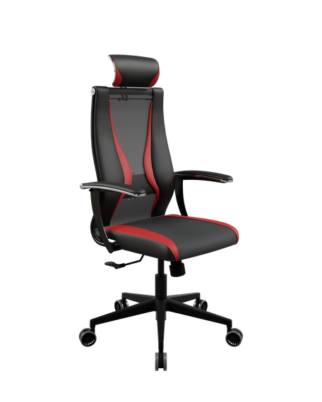 SynchroSit 10 B2-170U - T+UMF(SY271)+Extra /Kb38/Wh09/U0mL-b/H13mL-Pf-1DF(M20.B11.G19.W34)