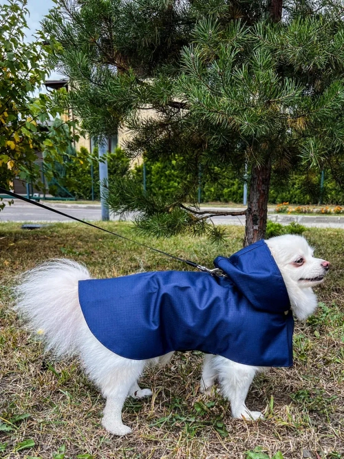 Дождевик для собак мелких и средних пород с капюшоном