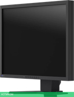 Монитор EIZO FlexScan S2133 (S2133-BK)