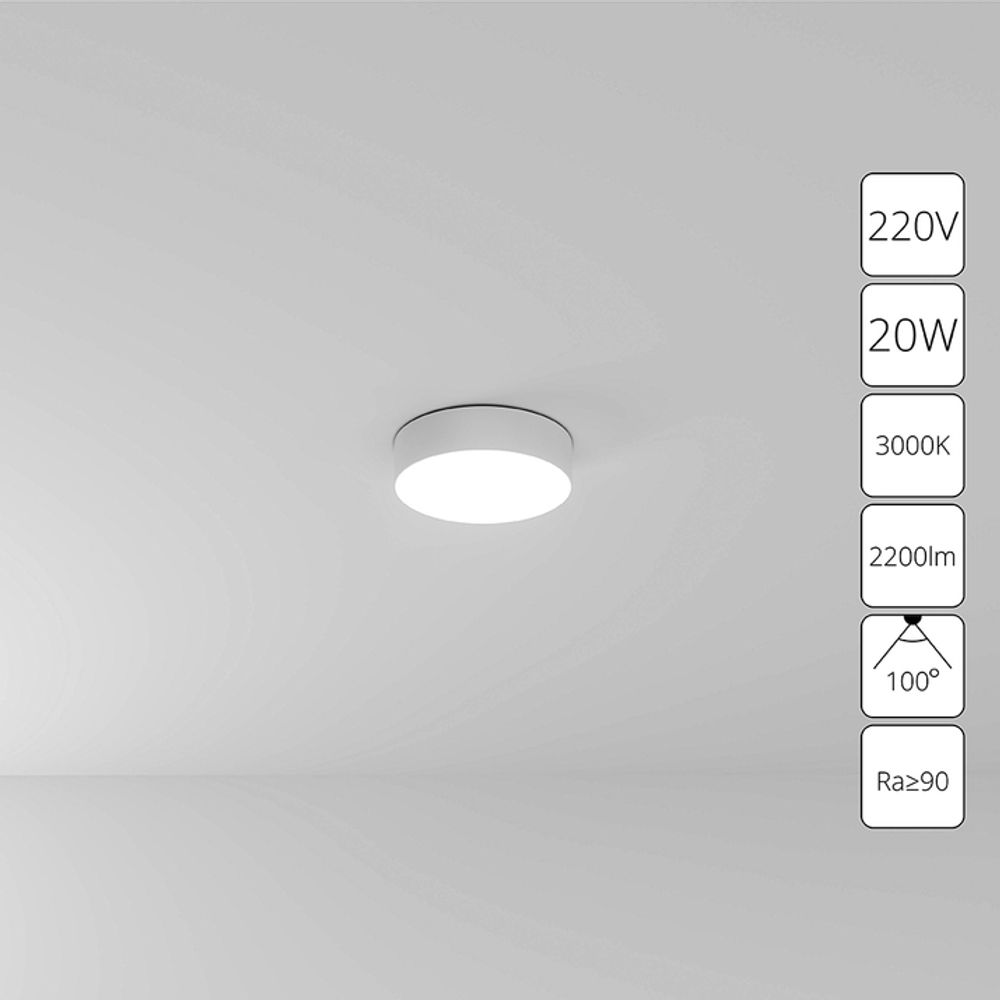 Потолочный светильник Arte Lamp