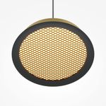 Подвесной светильник Maytoni MOD041PL-L15G3K