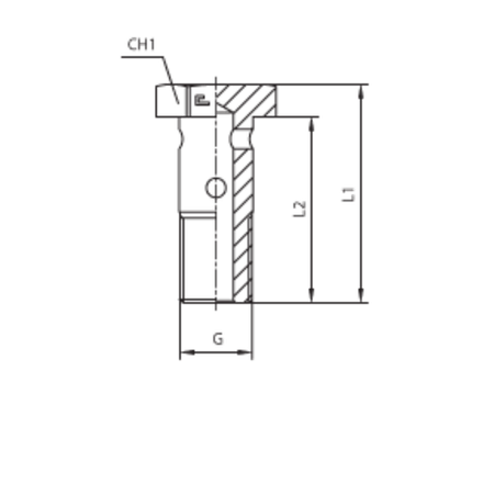 Фитинг BANJO BOLT G5/8 CAST