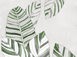 Коллекция PERO