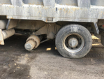 Shacman (Shaanxi) SX* 8x4 Самосвал SX33186W366C (Дизельный, 10,8 л, 441 л.с., МТ)